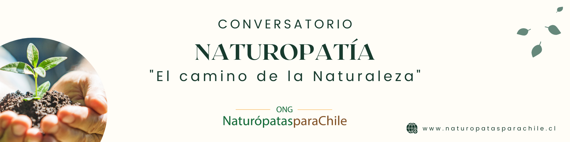 Conversatorio Naturopatía Naturopatas Para Chile 0224